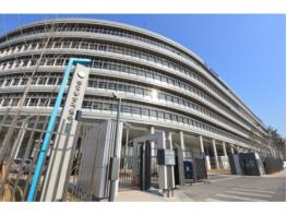 오타와 그룹, 세계무역기구(WTO)에서의 보건·환경 등 가시적 성과 강조 기사 이미지