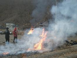 산림청, 산림에 연접한 논밭두렁 태우면 최대 100만원 과태료 부과 기사 이미지