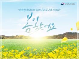 농림축산식품부, “농촌으로 꽃구경 가자~”…봄꽃 명소 19곳 기사 이미지