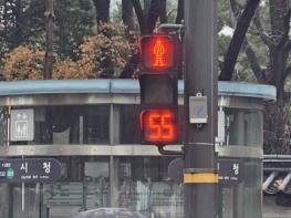 서울시, 빨간불 남은 시간 알려주는 신호등 시범 구축…답답함 해소·무단횡단 예방 기사 이미지